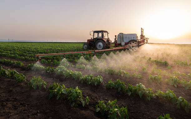 Best Mosquito Control Services  in Spicer, MN