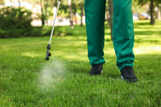Best Emergency Pest Control  in Spicer, MN