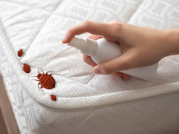 Best Pest Removal Services  in Spicer, MN