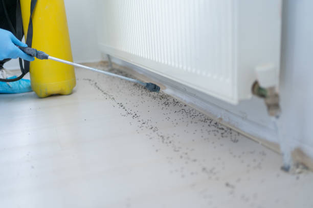 Best Commercial Pest Control Services  in Spicer, MN